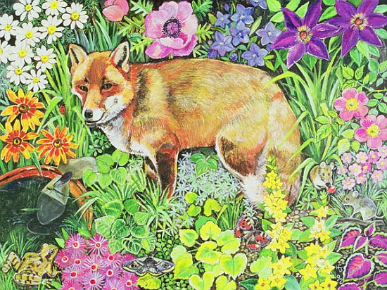 The Barnet Fox  od Hilary  Jones