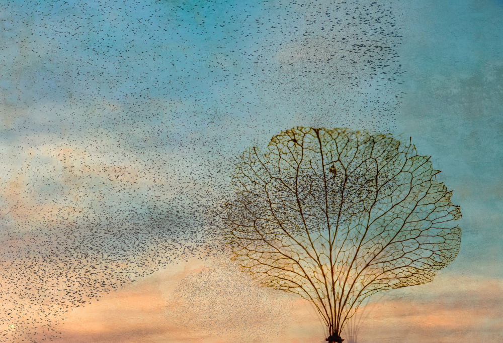 the birds and the tree od Hilda van der Lee