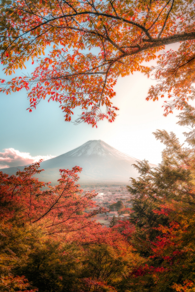 Beautiful Autumn in Japan od まちゅばら/Hiroki Matsubara
