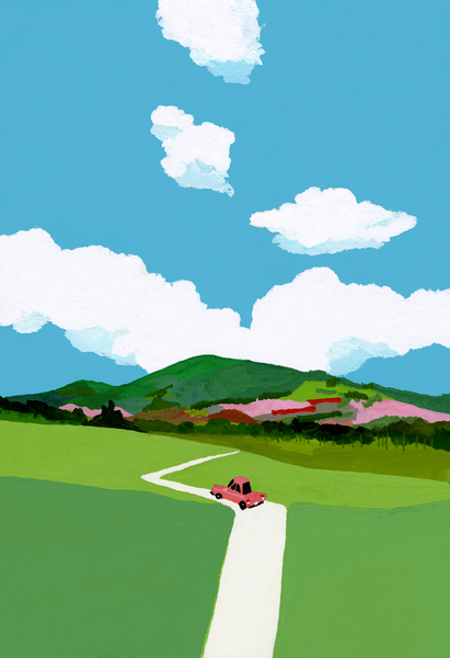 Driving through the meadow in a red car od Hiroyuki Izutsu