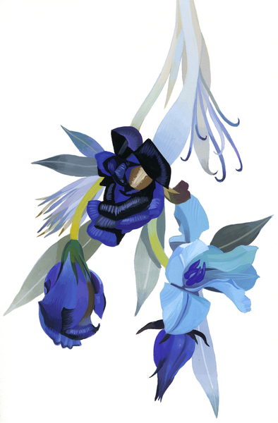 Flower drawn with blue tone od Hiroyuki Izutsu