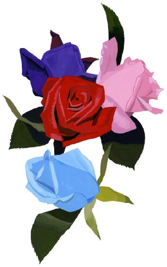 Pink red and light blue roses