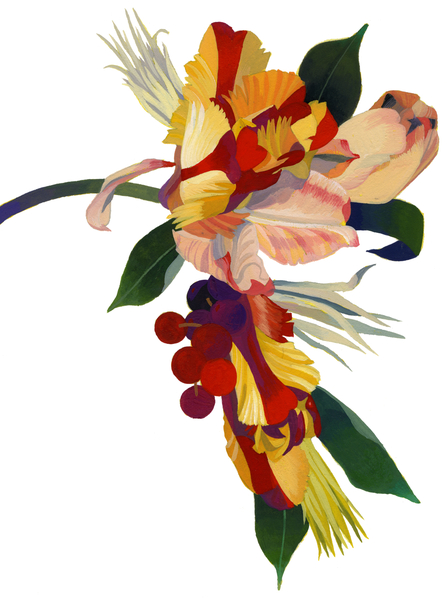 Tulip parrot1 od Hiroyuki Izutsu