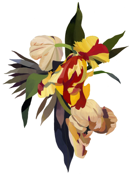 Tulip parrot2 od Hiroyuki Izutsu