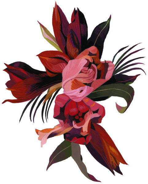 Tulips and amaryllis od Hiroyuki Izutsu