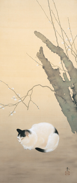 Cat and Plum Blossoms (Katze und Pflaumenblüten od Hishida Shunso