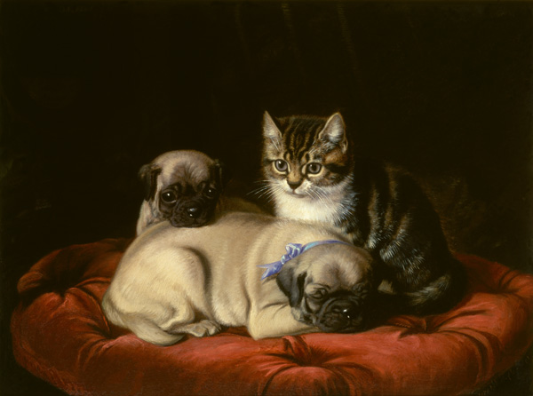 Zwei Möpse und ein Kätzchen od Horatio Henry Couldery