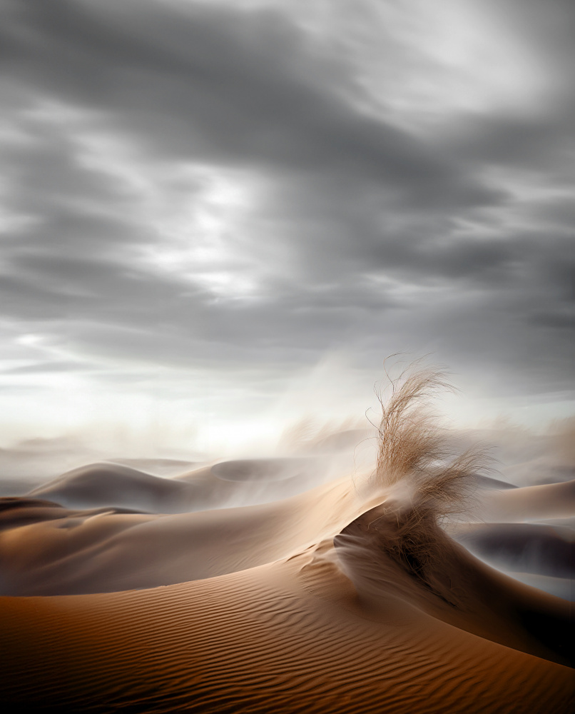 Desert Waves od Hosam.Karara