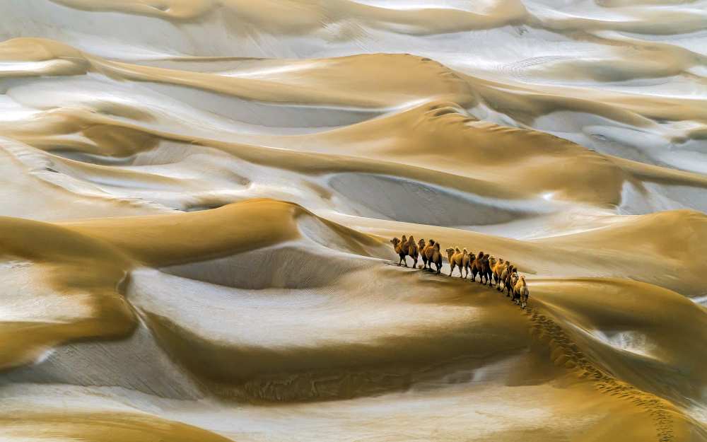 Desert Winter od Hua Zhu
