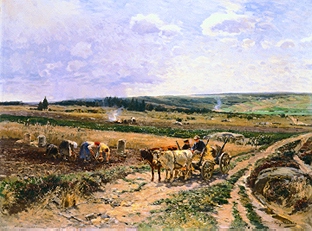 Potato crop in a wide landscape. od Hugo Mühlig
