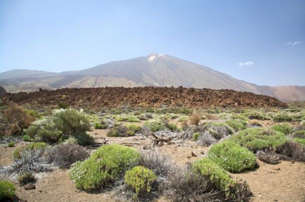 landscape with volcano od Iñigo Quintanilla