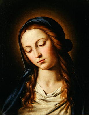 Head of the Madonna (oil on canvas) od Il Sassoferrato