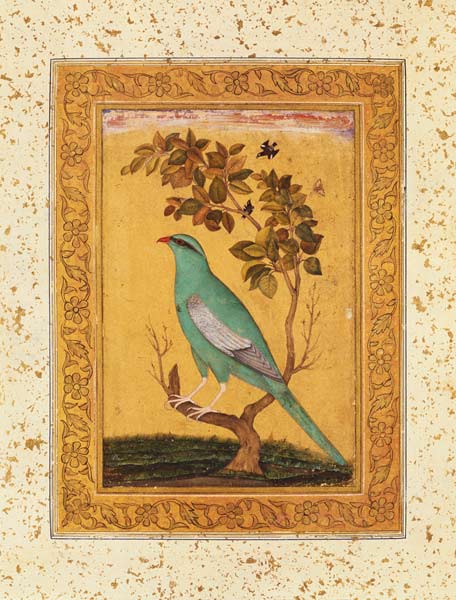 Green Bird, Mughal od Indian School
