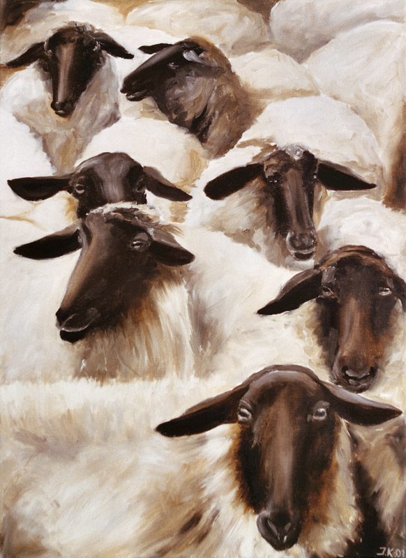 Sheep od Ingeborg Kuhn