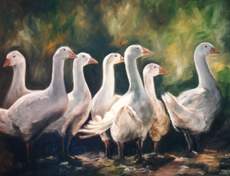 Geese od Ingeborg Kuhn