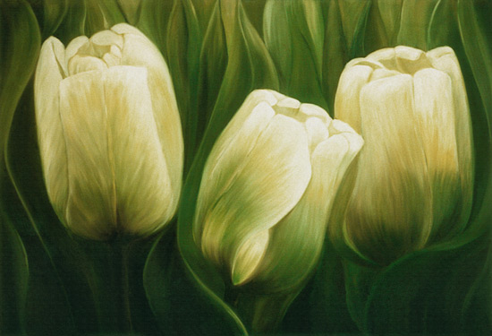Tulips od Ingeborg Kuhn