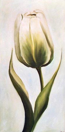 White tulip 2 od Ingeborg Kuhn