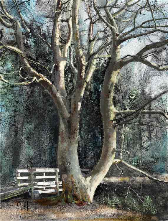 Sheilas tree od Georg Ireland