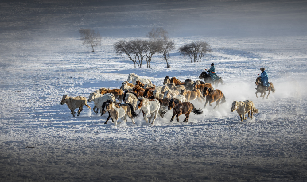 Galloping Horses od Irene Wu