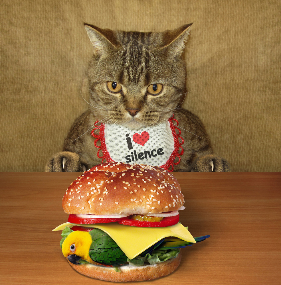 Cat and birdburger.... od Iryna Kuznetsova (Iridi)