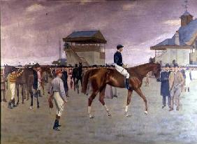 The Owner's Enclosure, Newmarket