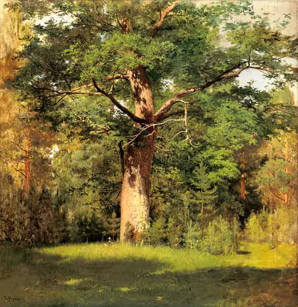 The oak od Isaak Iljitsch Lewitan