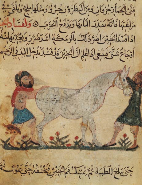 A veterinarian helping a mare to give birth, illustration from the 'Book of Farriery' by Ahmed ibn a od Islamic School