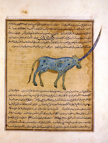 Ms E-7 fol.191b Rhinoceros, illustration from ''The Wonders of the Creation and the Curiosities of E od Islamic School