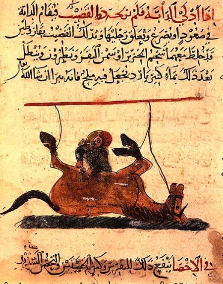 Operation on a horse, illustration from the 'Book of Farriery' by Ahmed ibn al-Husayn ibn al-Ahnaf od Islamic School
