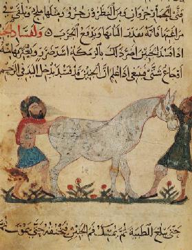 A veterinarian helping a mare to give birth, illustration from the 'Book of Farriery' by Ahmed ibn a