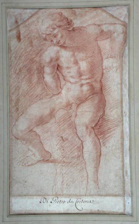 Study of a seated male nude od Scuola pittorica italiana