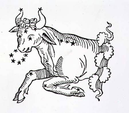 Taurus (the Bull) an illustration from the 'Poeticon Astronomicon' by C.J. Hyginus, Venice od Scuola pittorica italiana