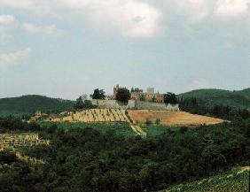 Castello del forte di Brolio, (photograph)