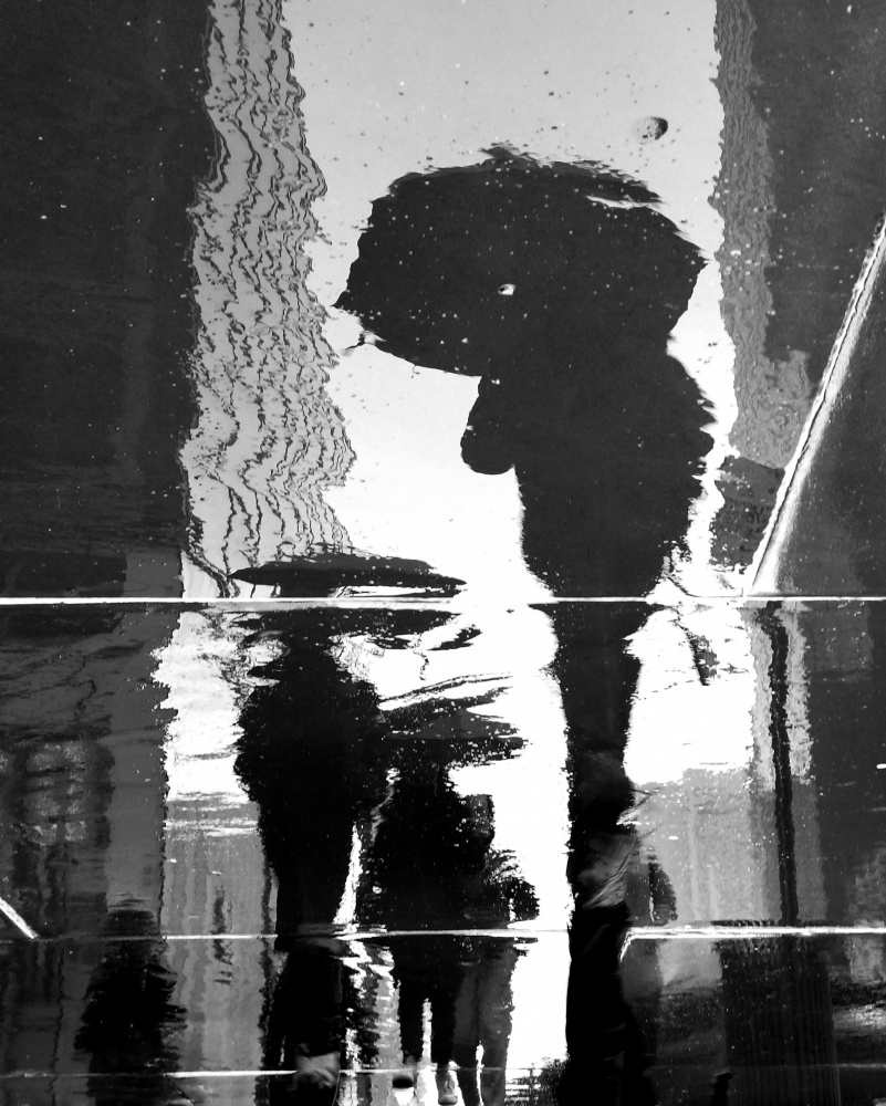 City Reflections od Ivan Lesica