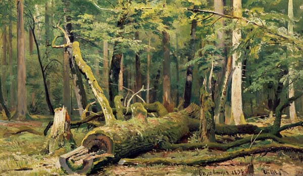 I.I.Zhishkin / Felled Oak / Ptg./ 1892 od Iwan Iwanowitsch Schischkin