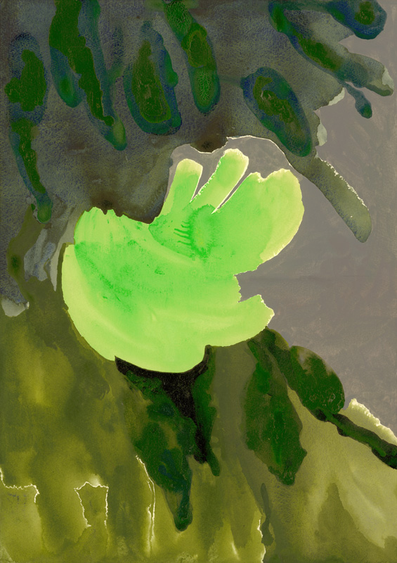 Kensington Gardens Series: Leaf Cascade od Izabella  Godlewska de Aranda