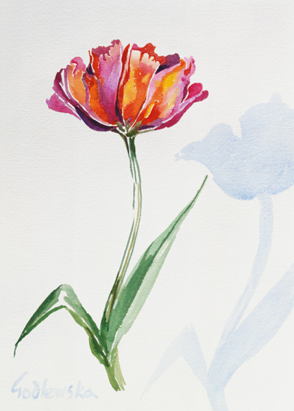 Tulip, 1998 (w/c on paper) (see also 124446 & 124448)  od Izabella  Godlewska de Aranda