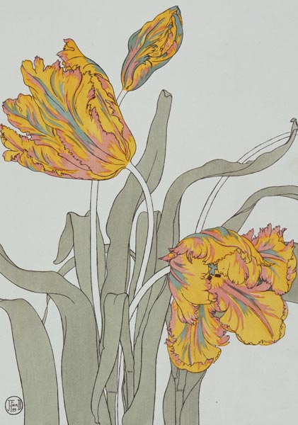 Tulip by J. Foord (fl.1890) plate 16 from 'Decorative Flower Studies' pub. 1901 od J. Foord