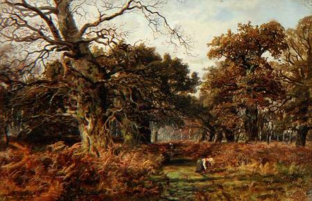 Sherwood Forest od J. Hudson Willis