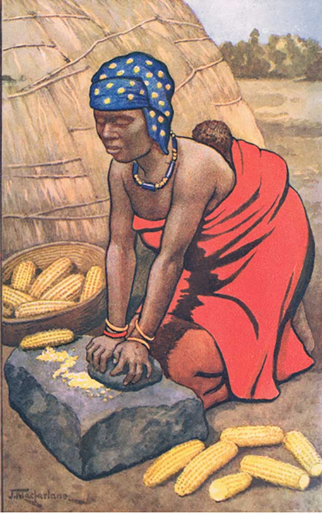 Woman grinding mealies, from MacMillan school posters, c.1950-60s od J. Macfarlane