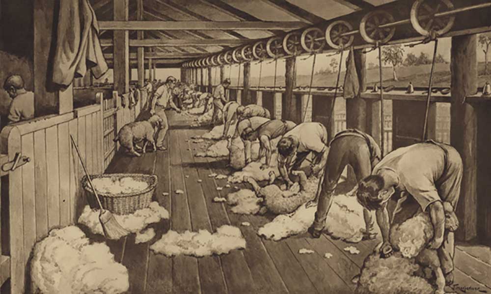Sheep-shearing in Australia od J. Macfarlane