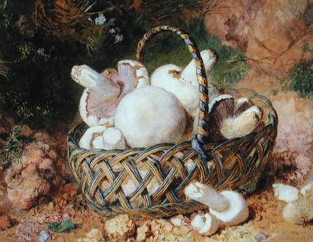 A Basket of Mushrooms od Jabez Bligh