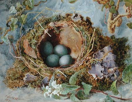 A Nest of Eggs od Jabez Bligh