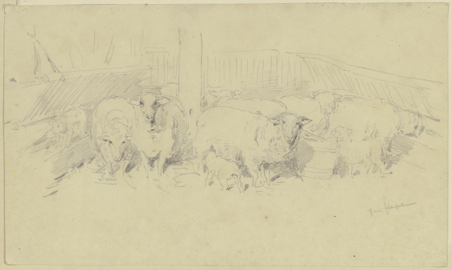 A sheepfold od Jacob Happ