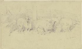 A sheepfold