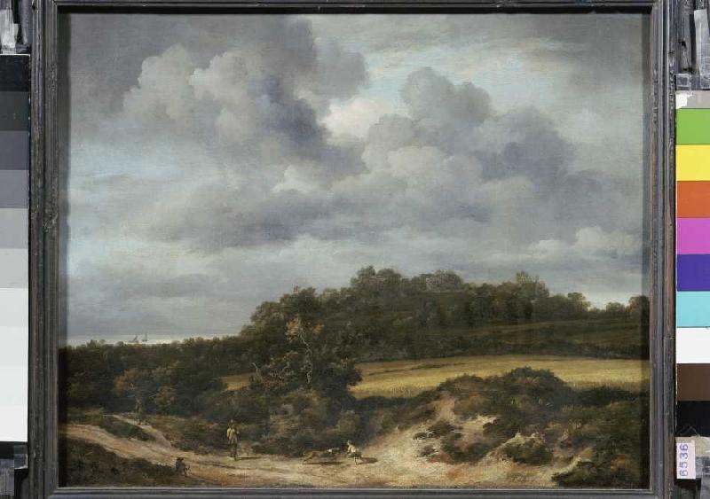 The cornfield. od Jacob Isaacksz van Ruisdael