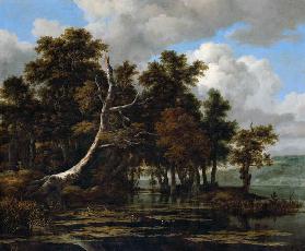 Oaks at a lake with Water Lilies