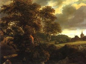 Hill landscape with oak