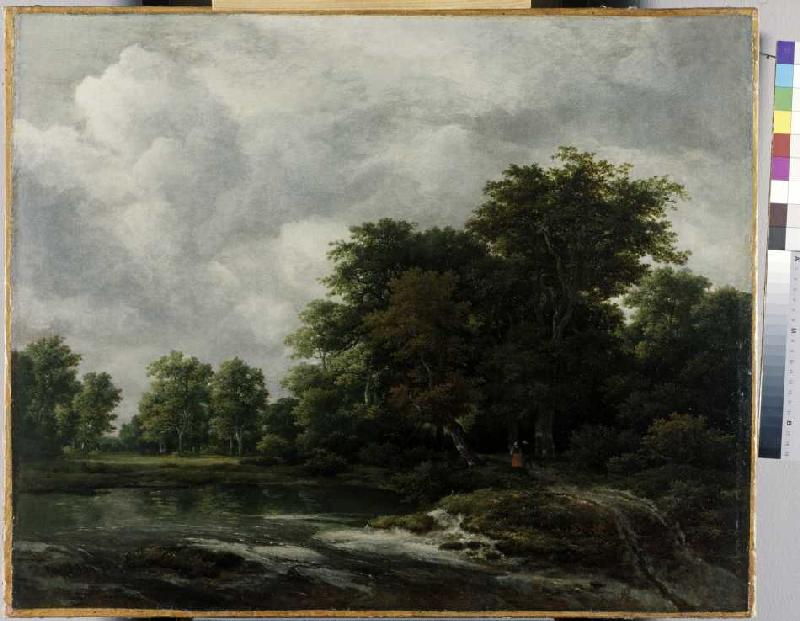 Wald nahe einem Weiher od Jacob Isaacksz van Ruisdael