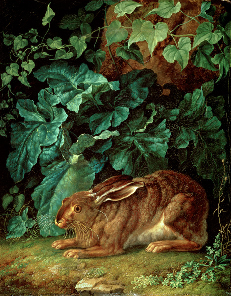 A Hare in Undergrowth od Jacob Philipp Hackert
